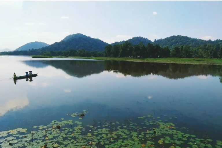 Design the Horizontal Scroll Section